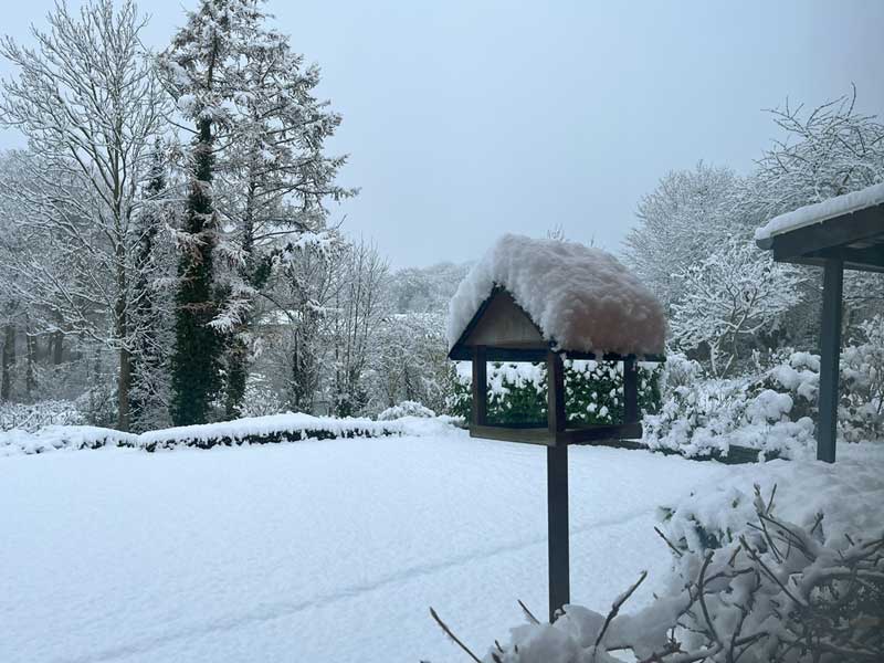 2024/11 F�rste snefald i Vejle ⛄