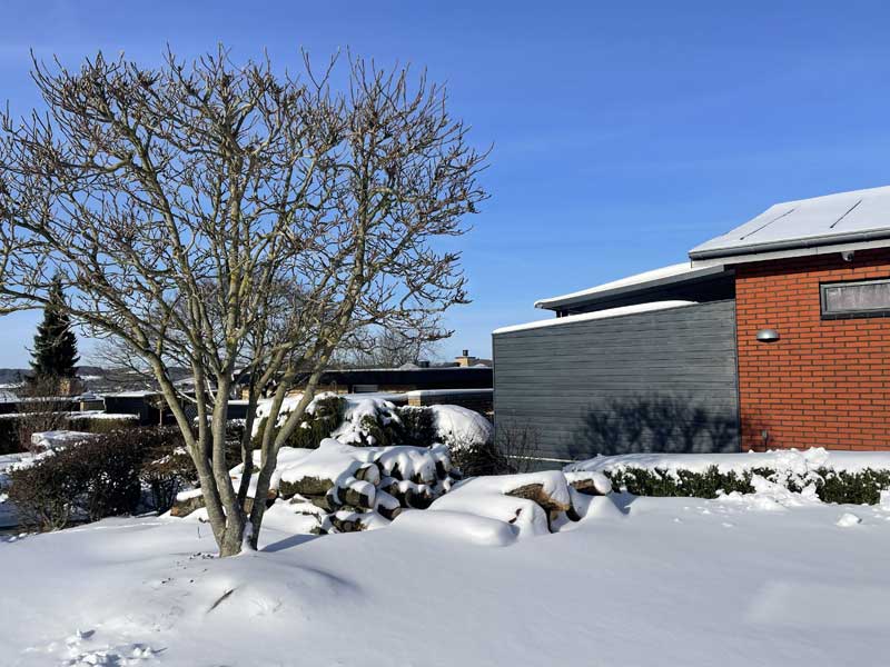 2026/02 Koldeste vinter i 16 �r
